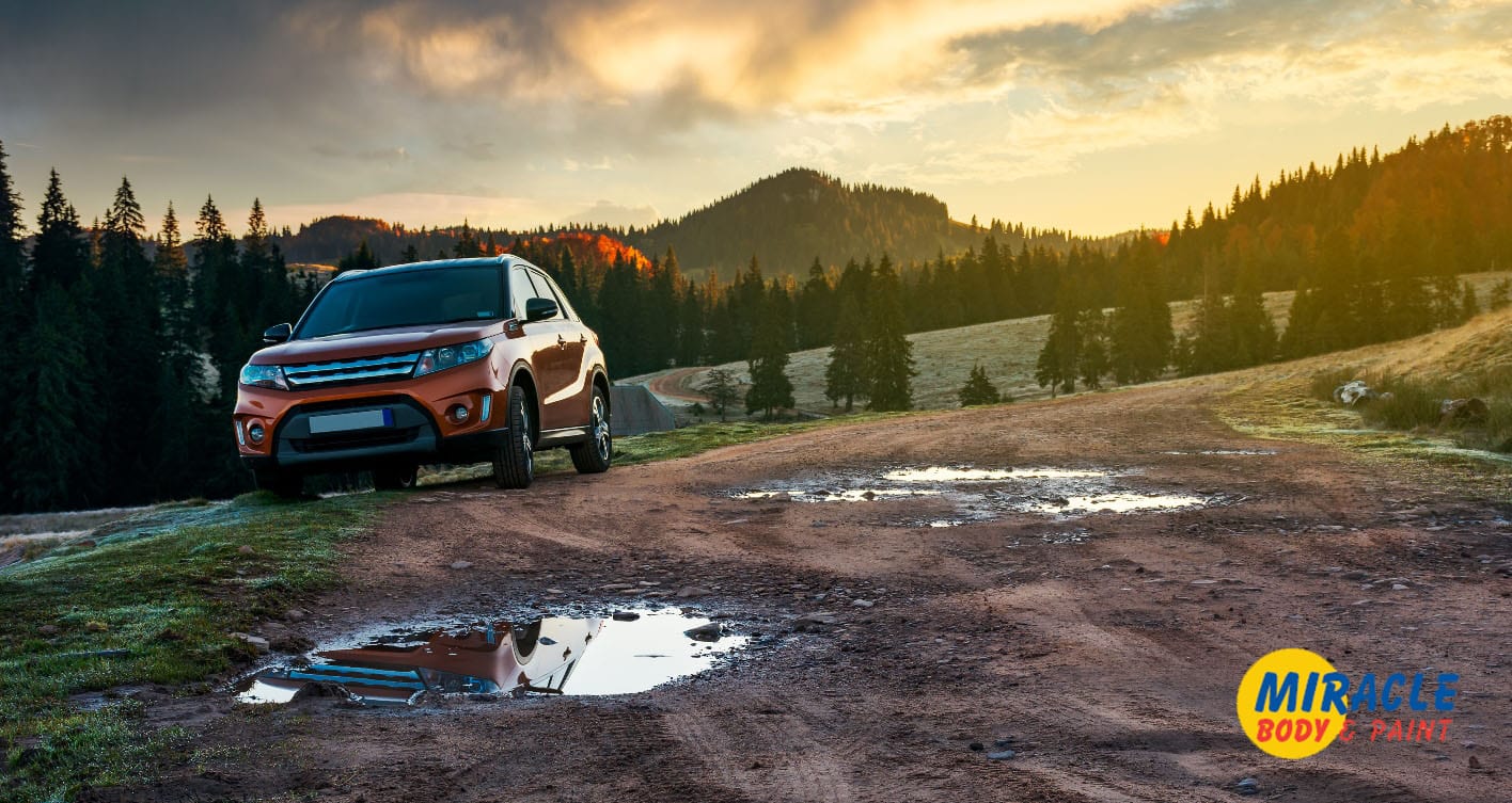 3 Vital Tips on How to Avoid Deer-Related Auto Collision